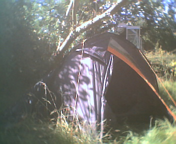 Coleman tent003.jpg